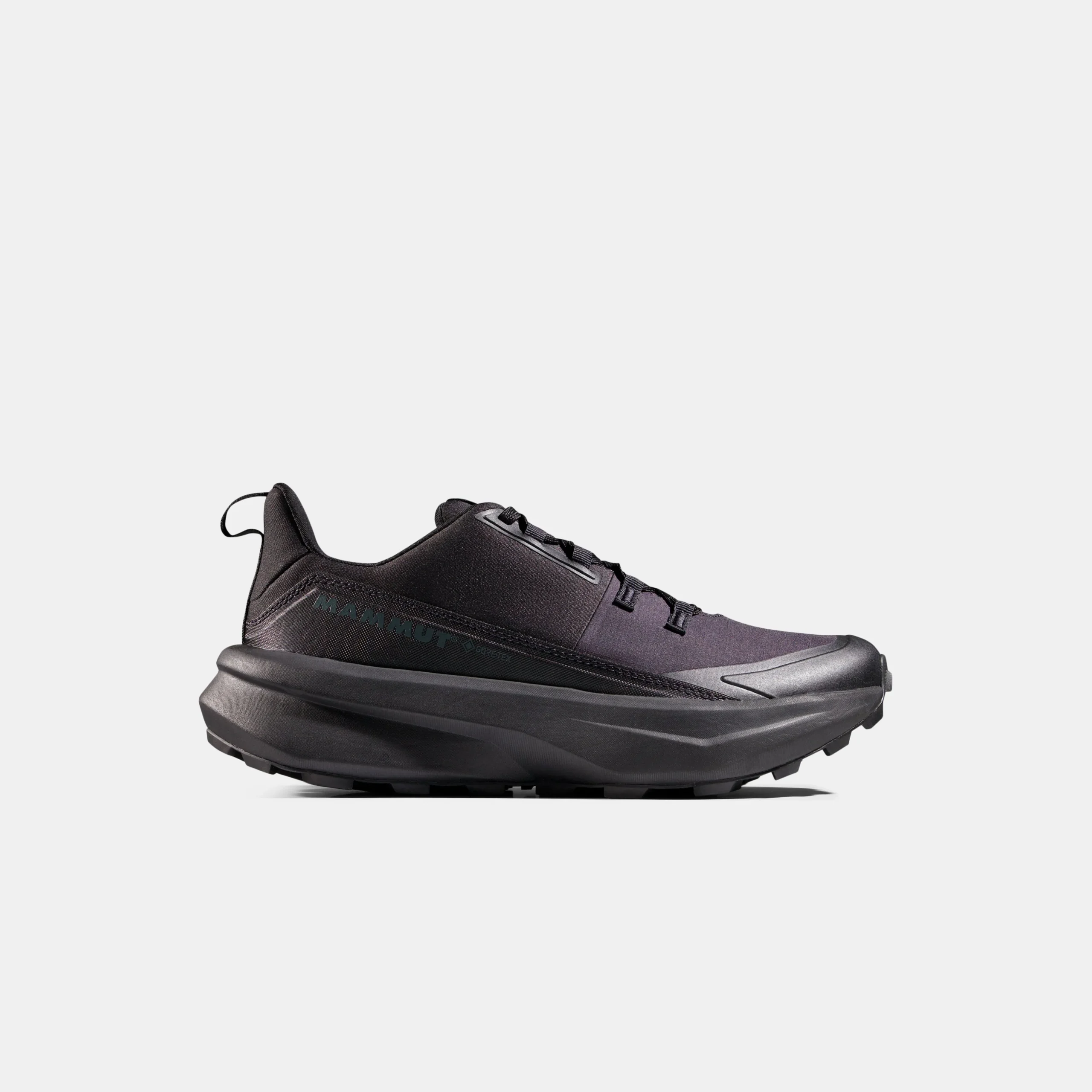 Aenergy Hike Low GTX Women
