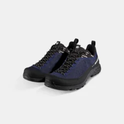 Alnasca IV Low GTX Men