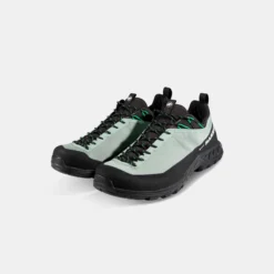 Alnasca IV Low GTX Men