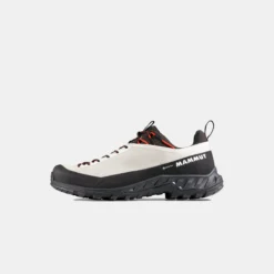 Alnasca IV Low GTX Women