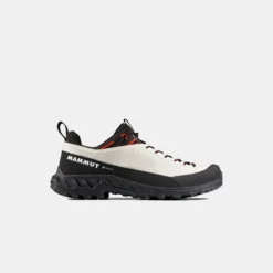 Alnasca IV Low GTX Women