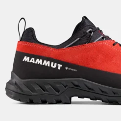 Alnasca IV Low LTH GTX Men