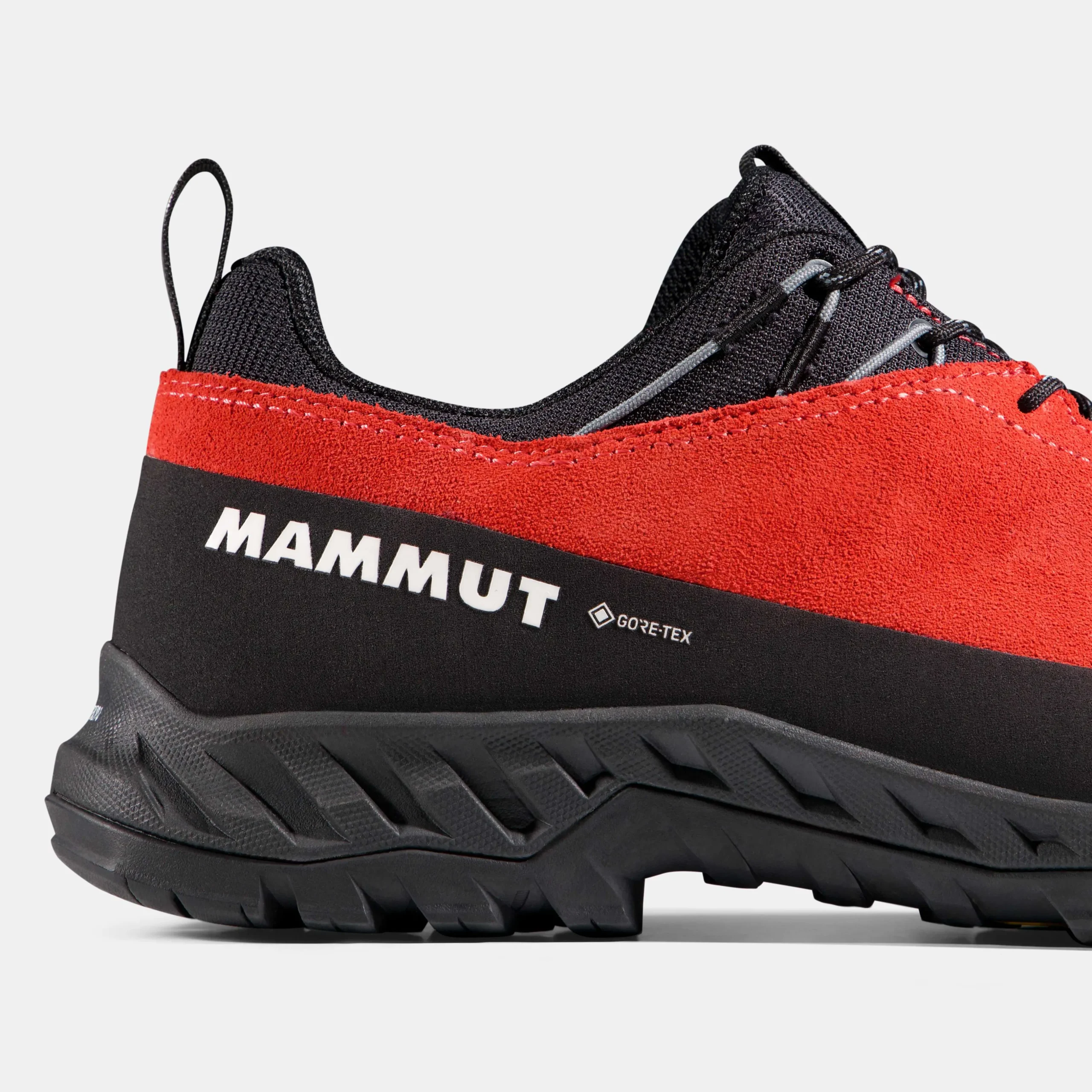 Alnasca IV Low LTH GTX Men