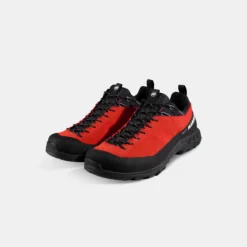Alnasca IV Low LTH GTX Men
