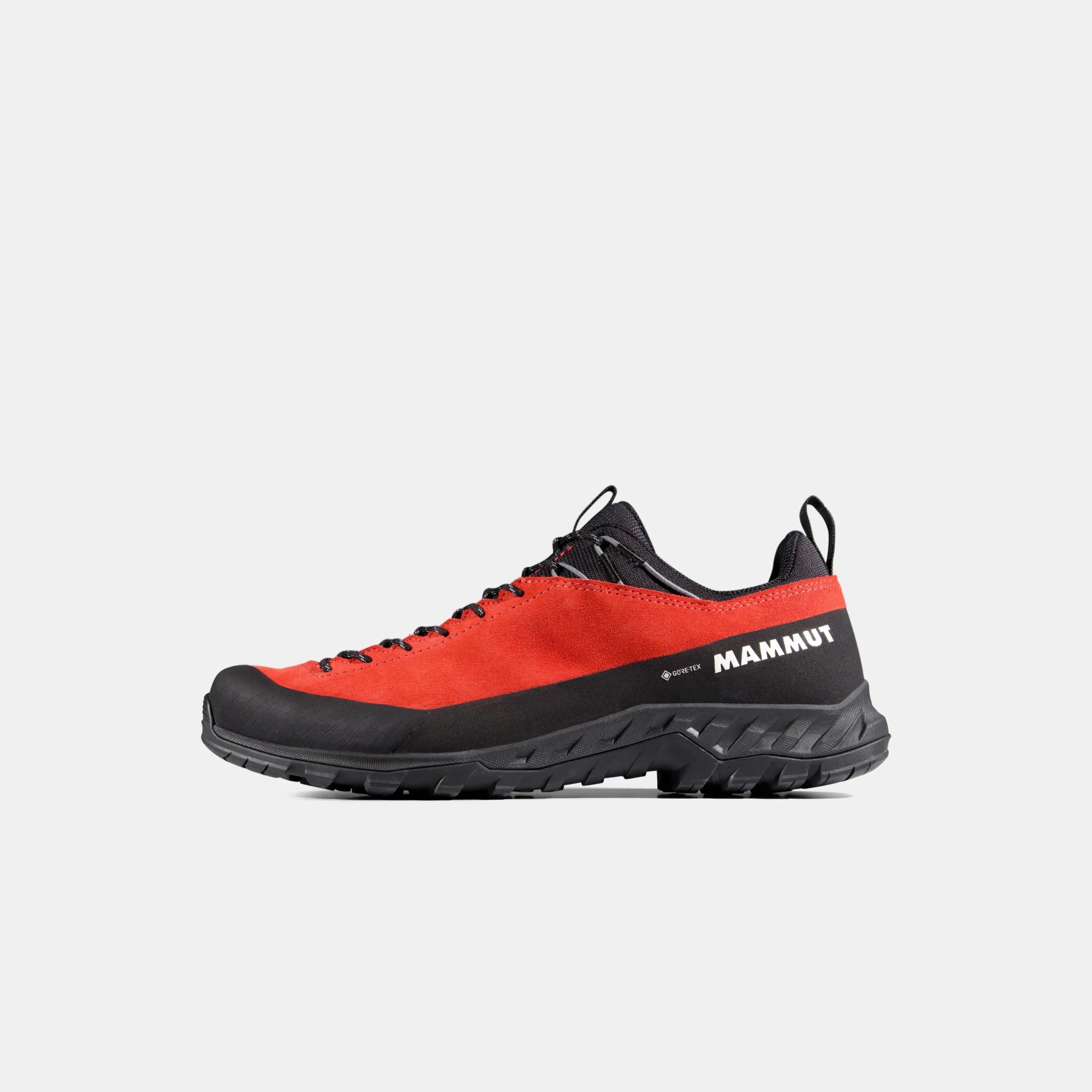 Alnasca IV Low LTH GTX Men