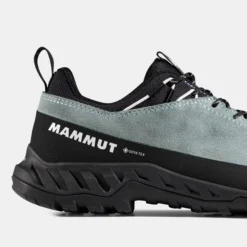 Alnasca IV Low LTH GTX Women