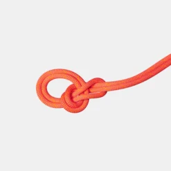 9.8 Crag Dry Rope 70m