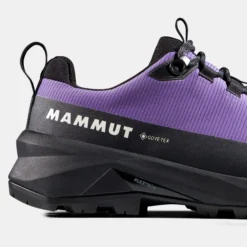 Ducan III Low GTX Women