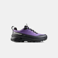 Ducan III Low GTX Women