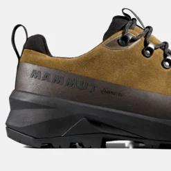 Ducan III Low LTH GTX Men