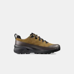 Ducan III Low LTH GTX Men