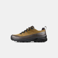 Ducan III Low LTH GTX Men