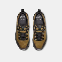 Ducan III Low LTH GTX Men