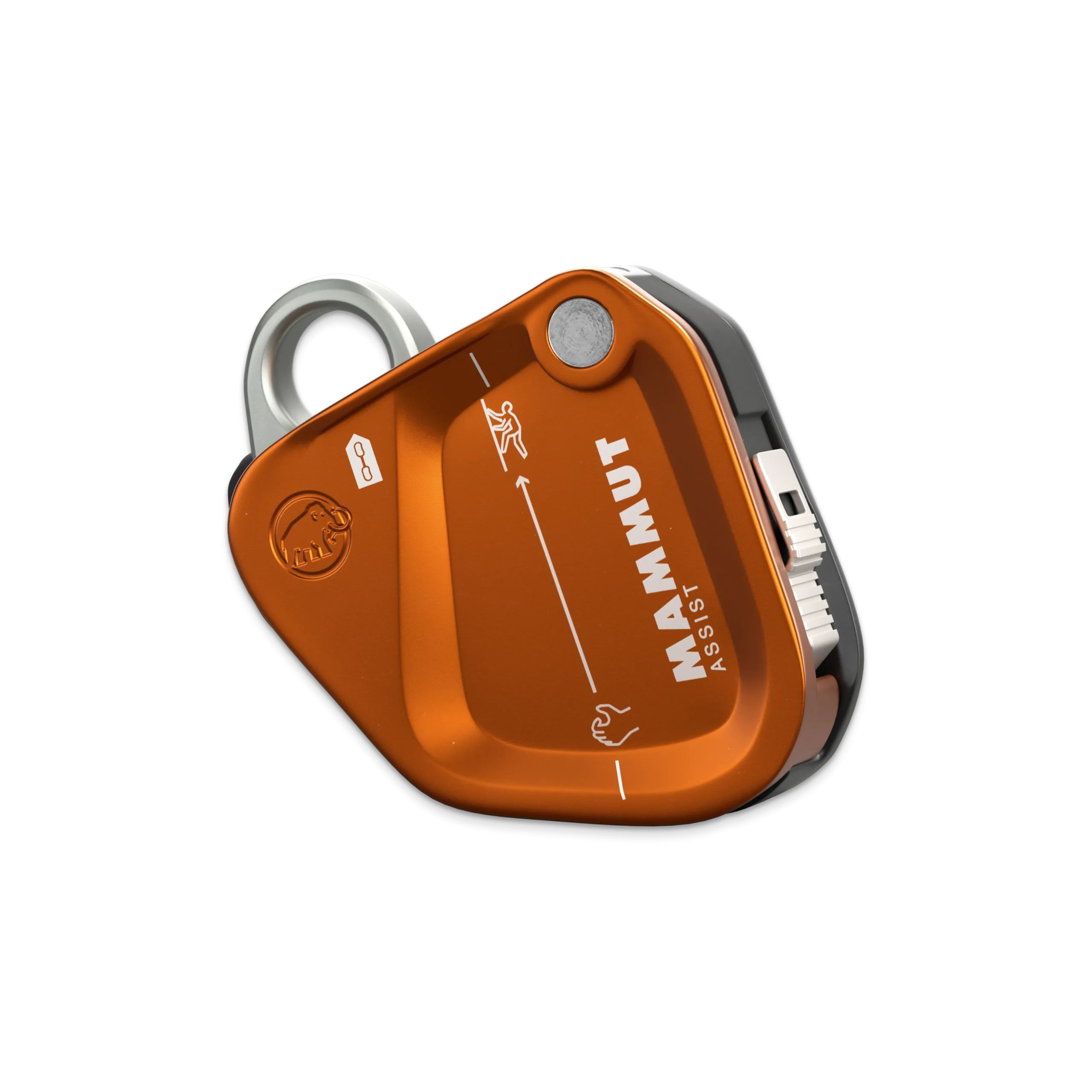 Mammut Assist Belay Resistor