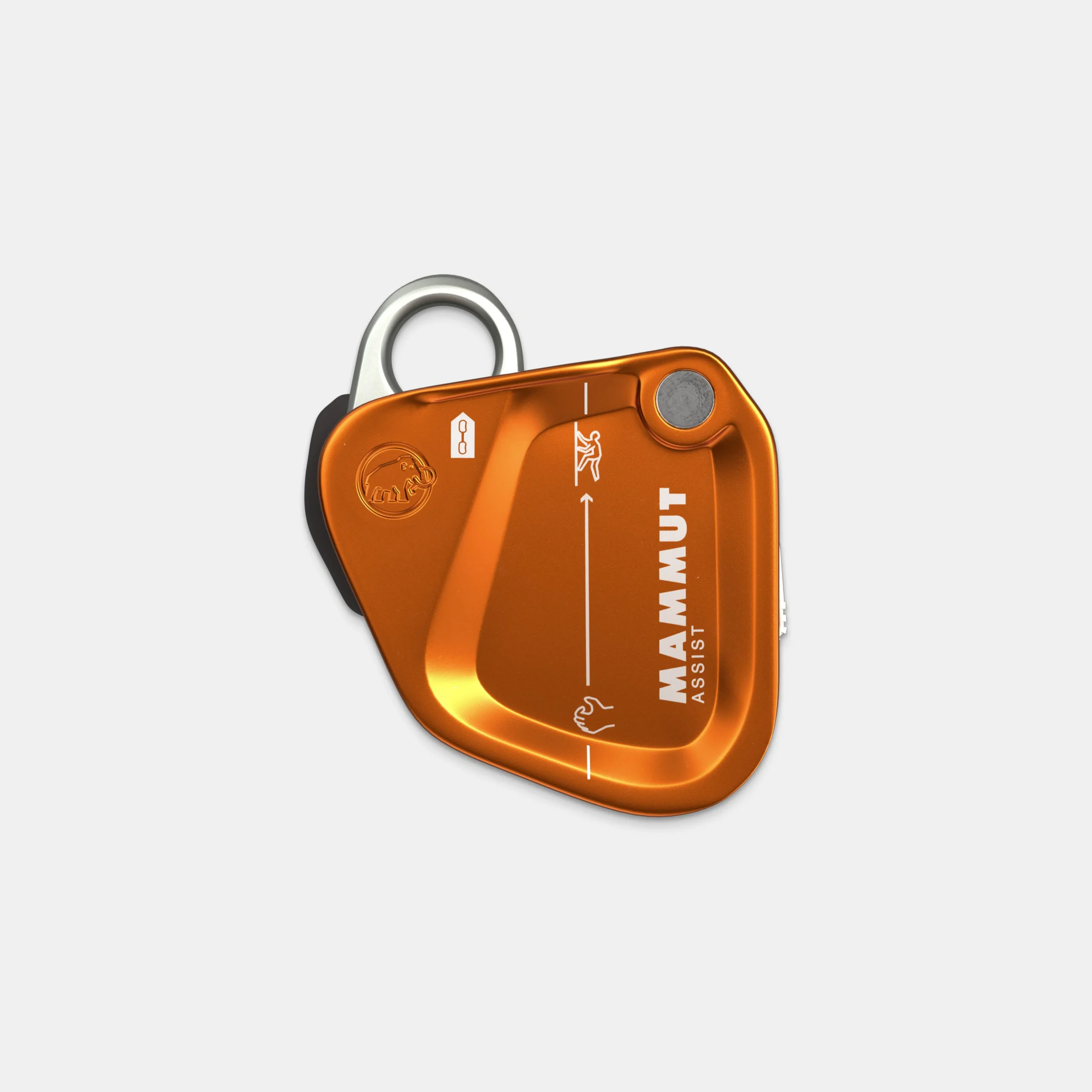 Mammut Assist Belay Resistor