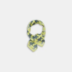 Mammut Bandana