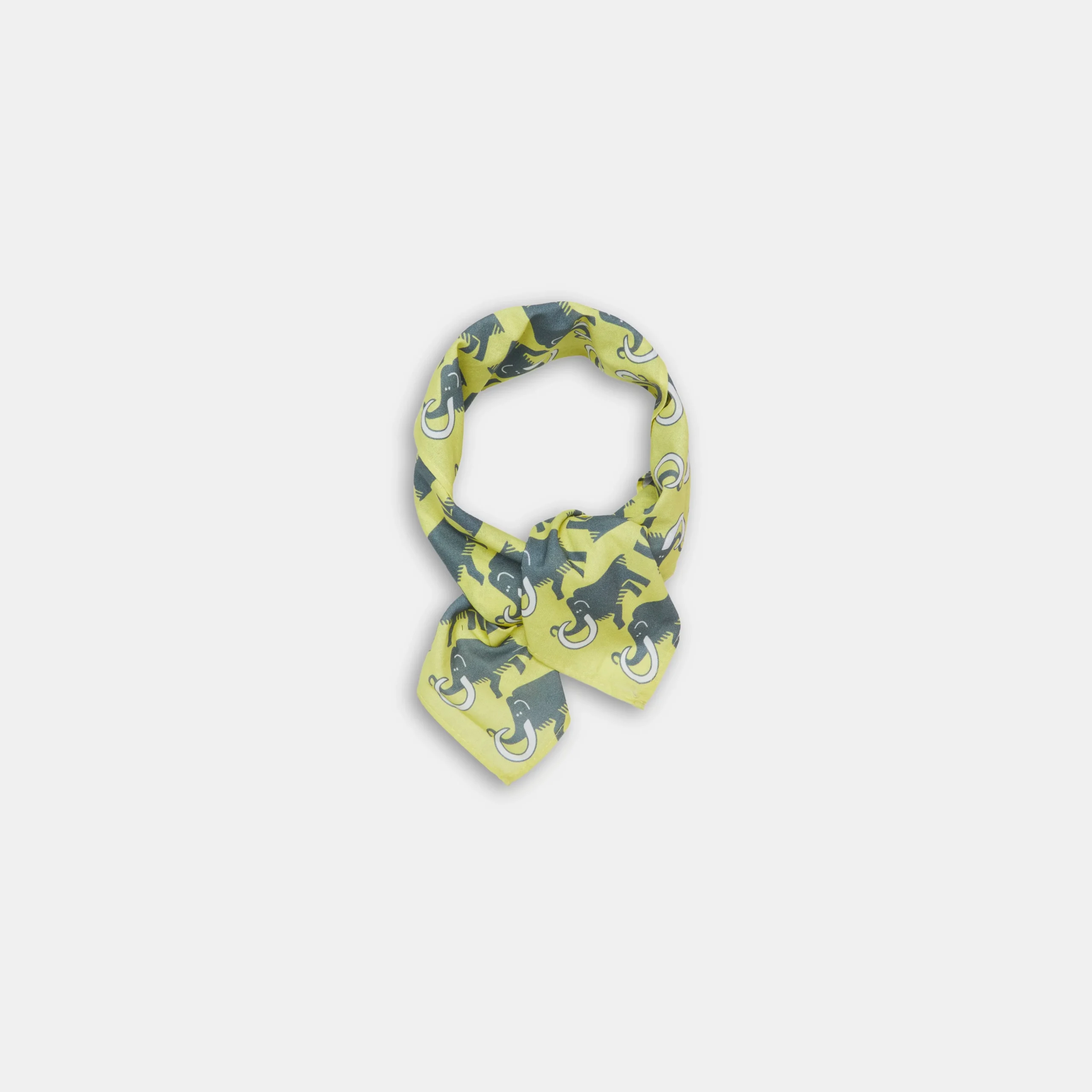 Mammut Bandana