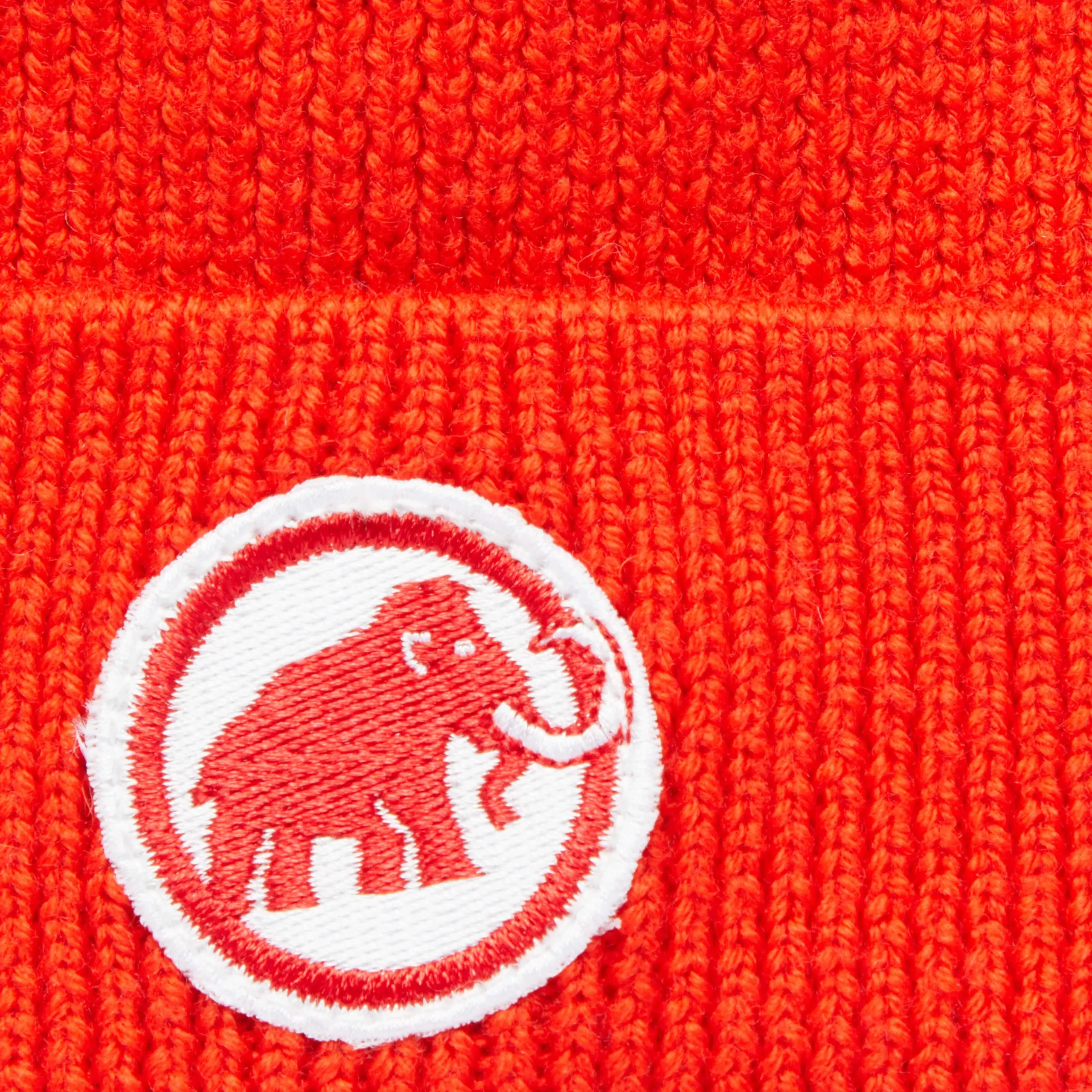 Mammut Logo Beanie Kids