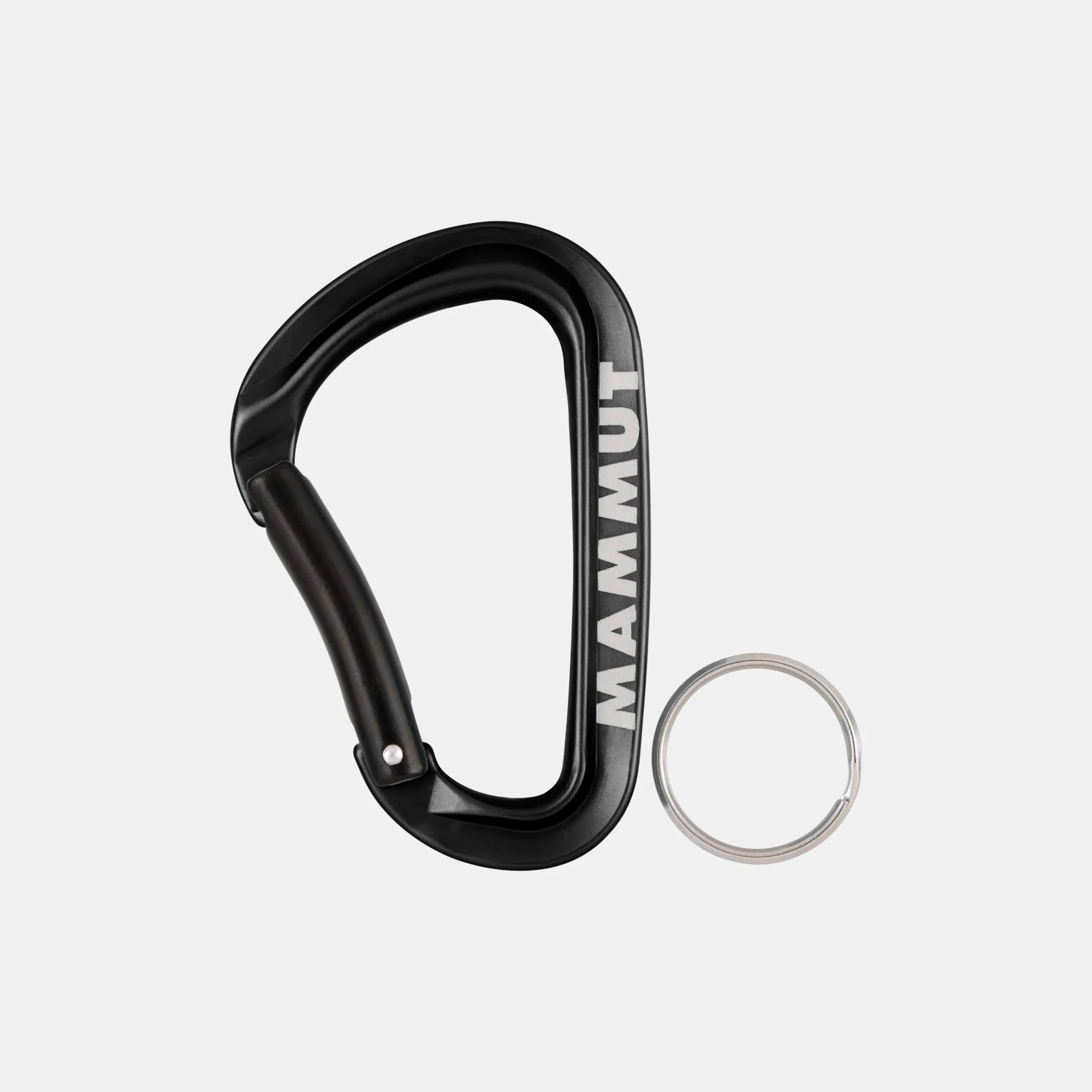 Mammut Mini Carabiner Workhorse Keylock L