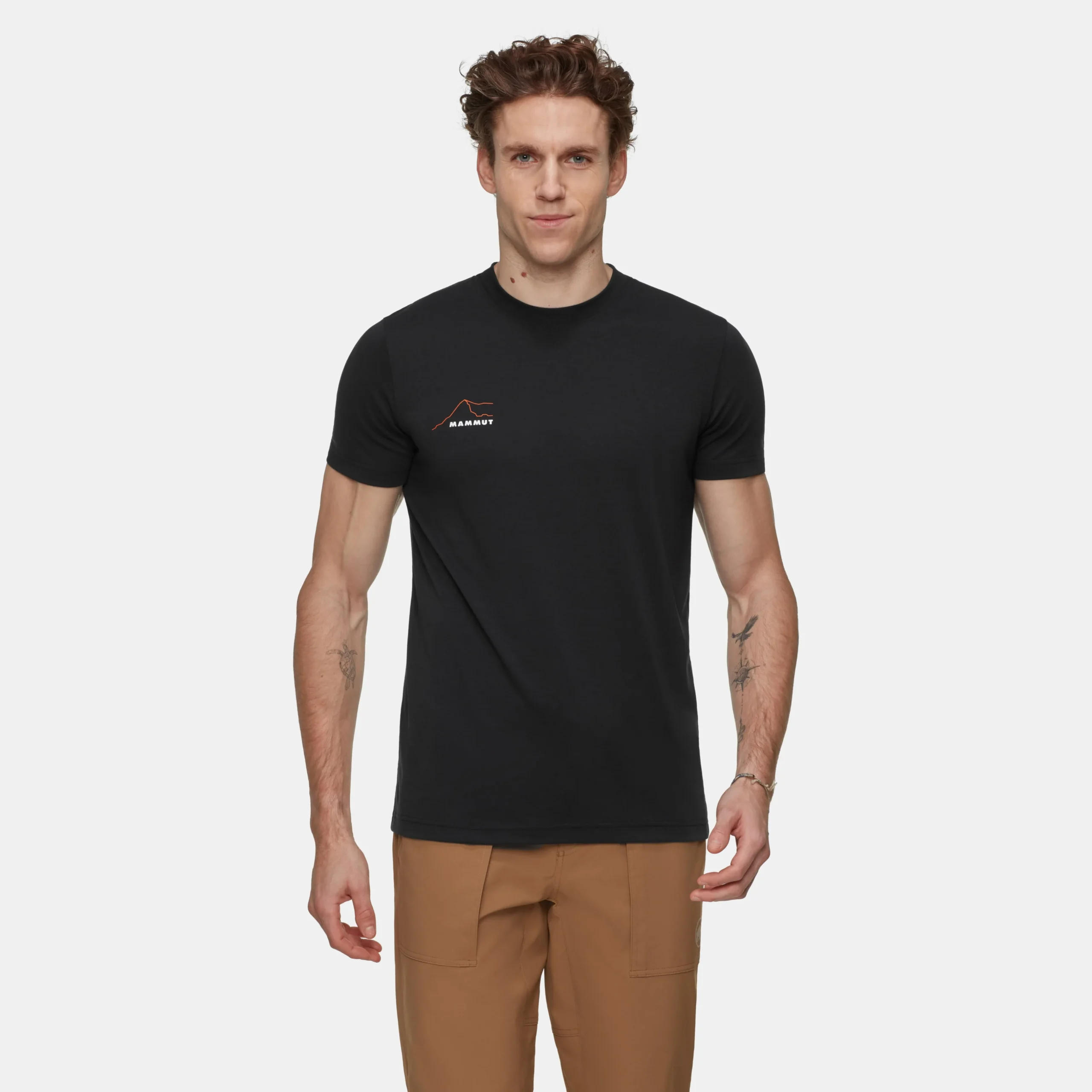 Mountain T-Shirt Men Eiger