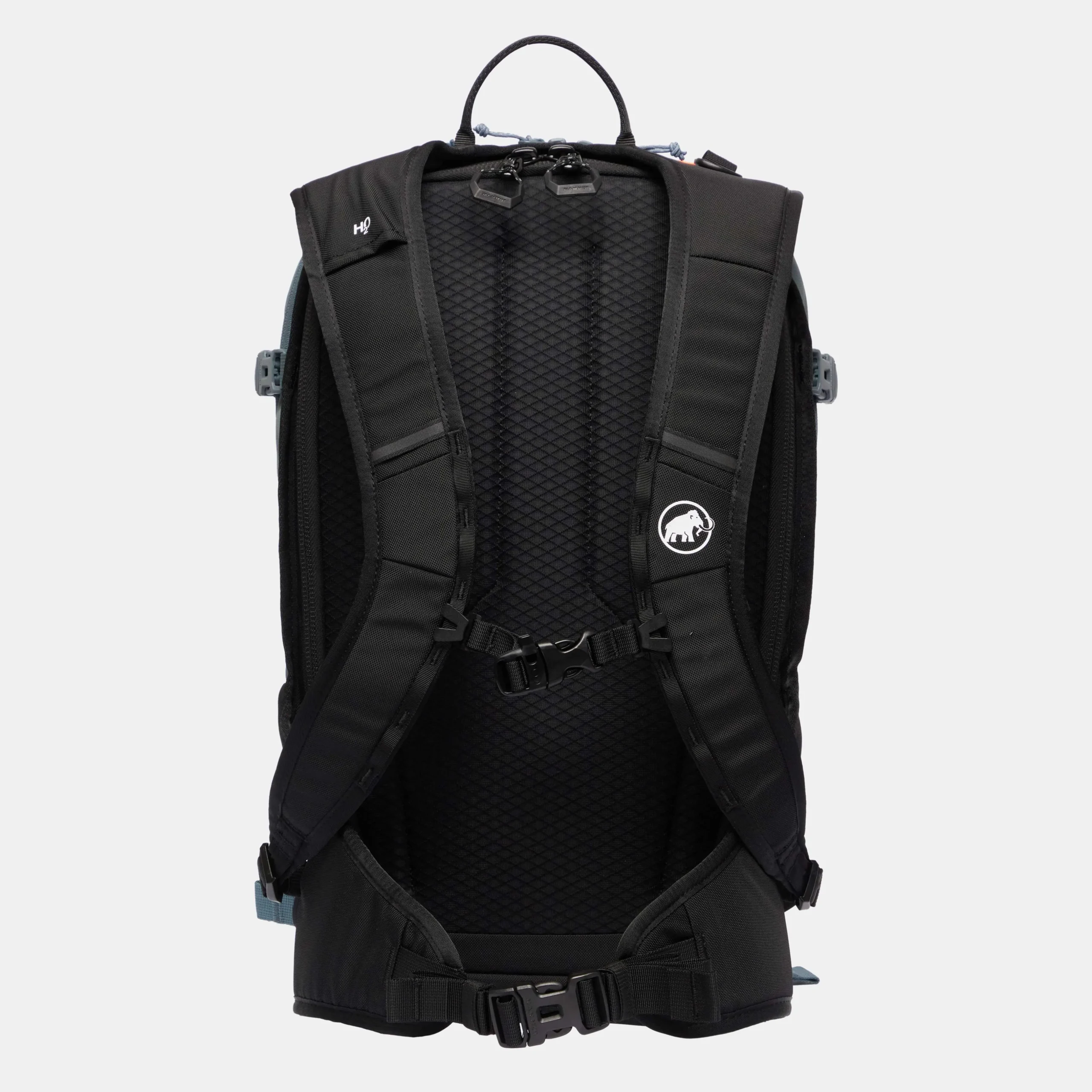 Nirvana 22