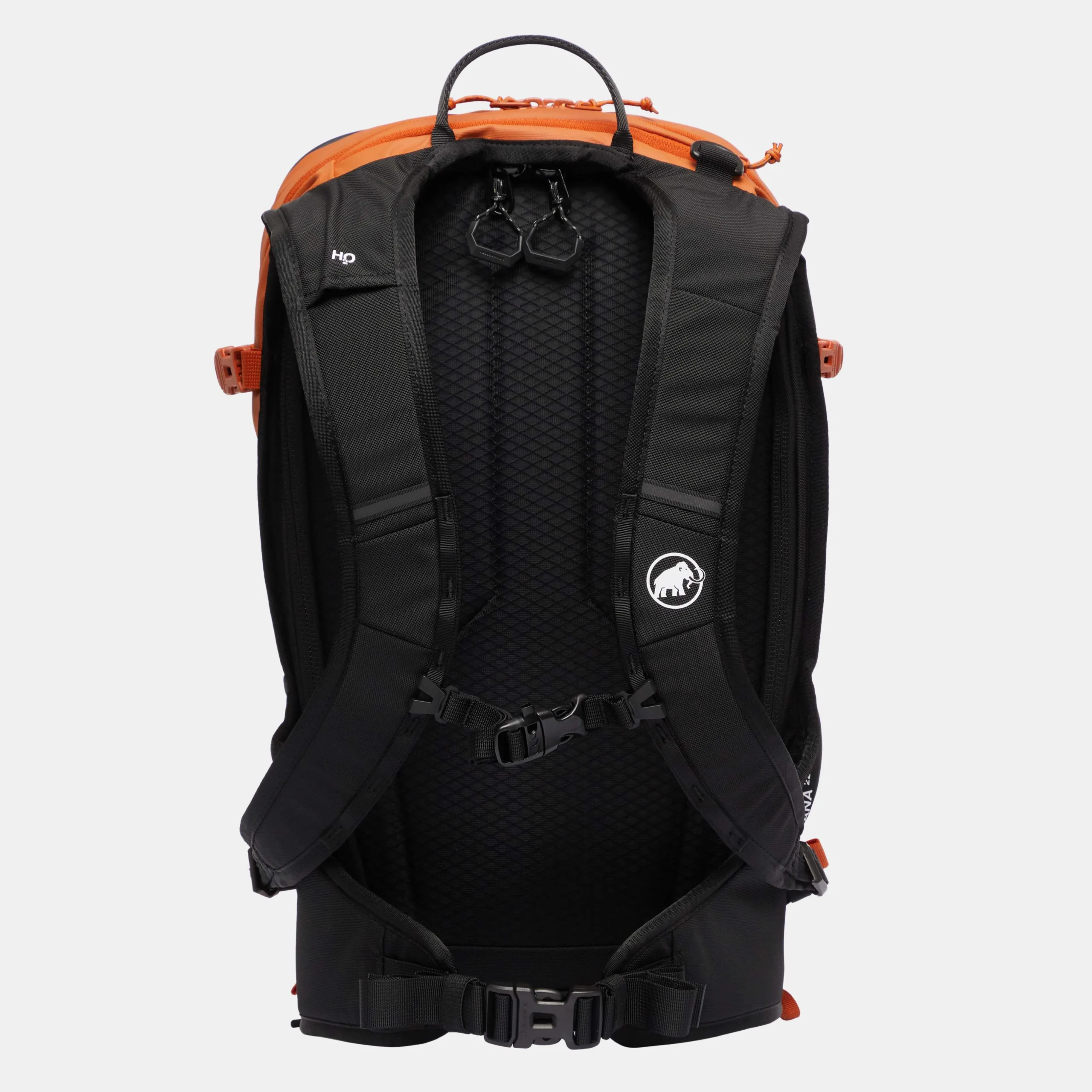 Nirvana 22
