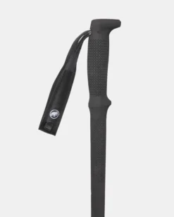 Taiss Poles