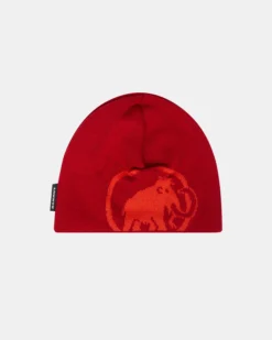 Tweak Beanie